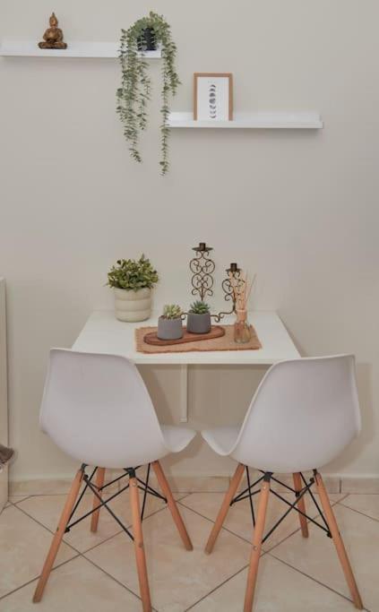 Florina Modern Studio Kültér fotó